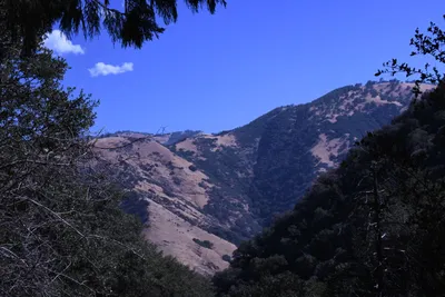 DSC_2190 (Large).JPG